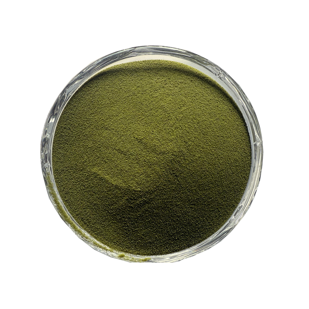 Seaweed Extract green powder sample